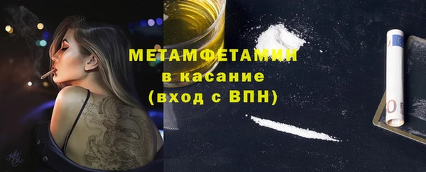 дживик Инта