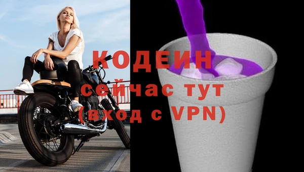 дживик Инта