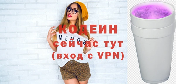 дживик Инта