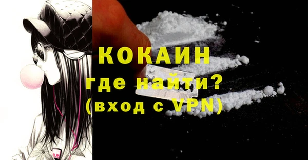 дживик Инта
