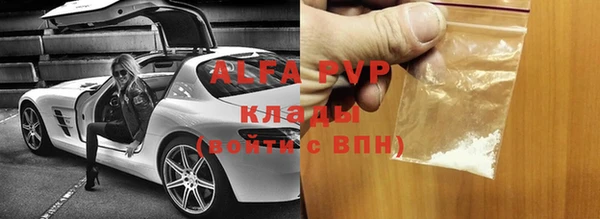 скорость Каменногорск