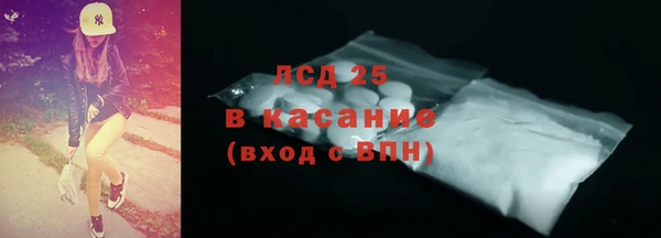 дживик Инта