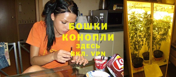 соль ск Иннополис