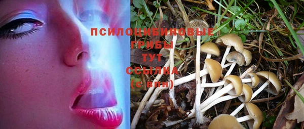 соль ск Иннополис