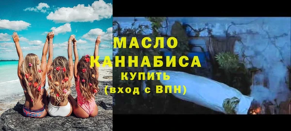 дживик Инта