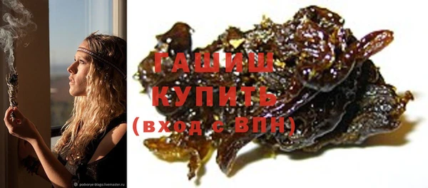 дживик Инта