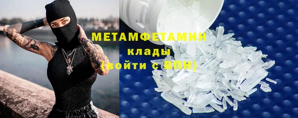 дживик Инта