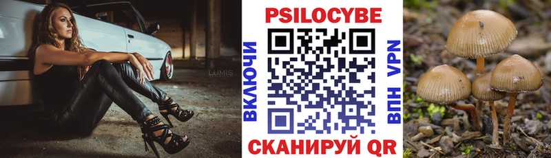Купить  Теберда  Галлюциногенные грибы Magic Shrooms 