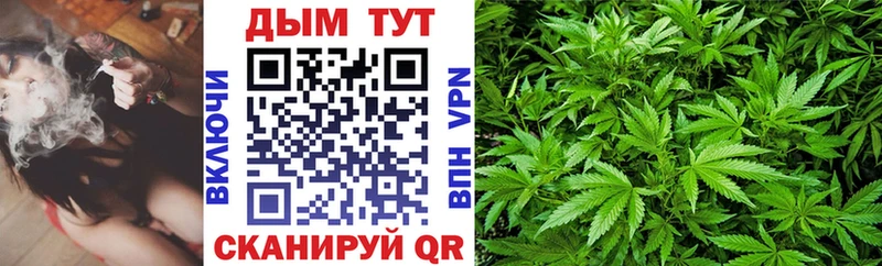 Купить  Теберда  Бошки марихуана конопля 